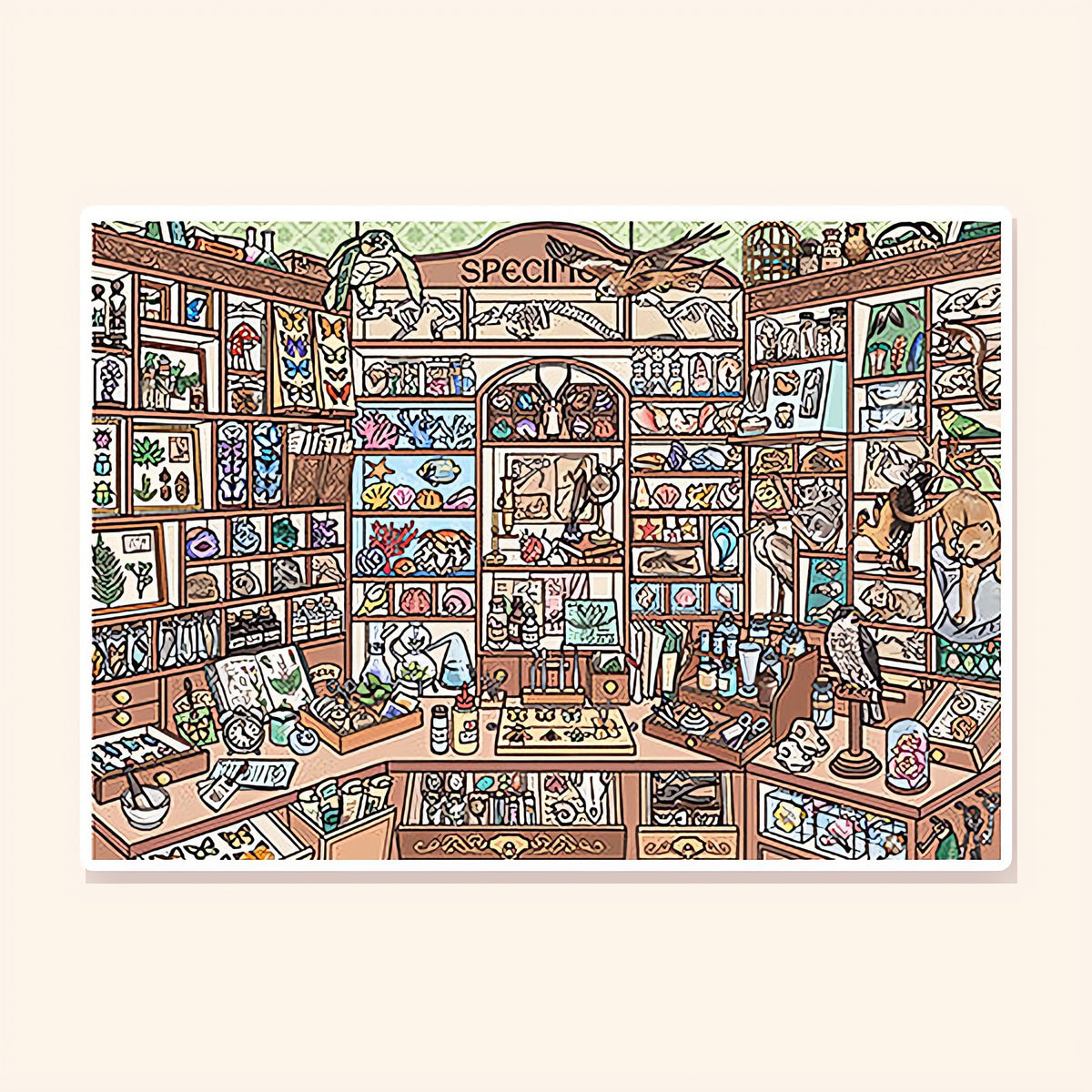 Naturalist's Study finished scene, included in Classic Set: Little Corners